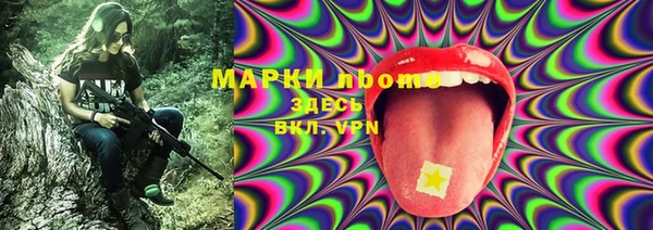 спайс Кулебаки